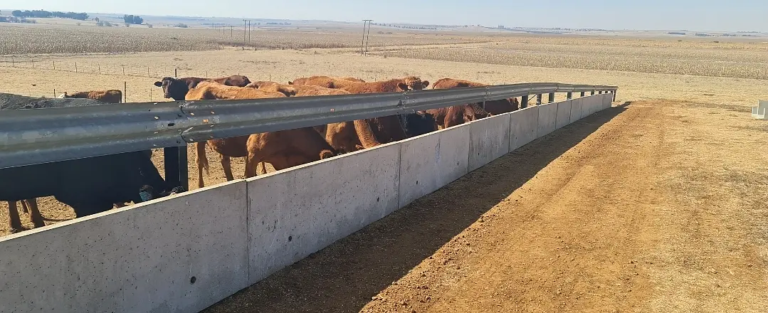 Large concrete cattle feeding trough — additional view